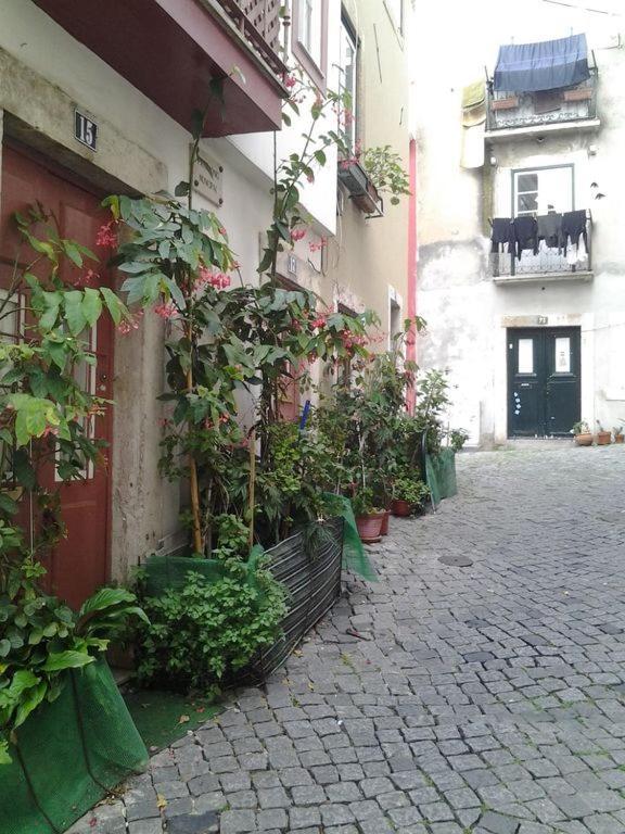 Tonic Flat Apartment Lisboa Екстериор снимка
